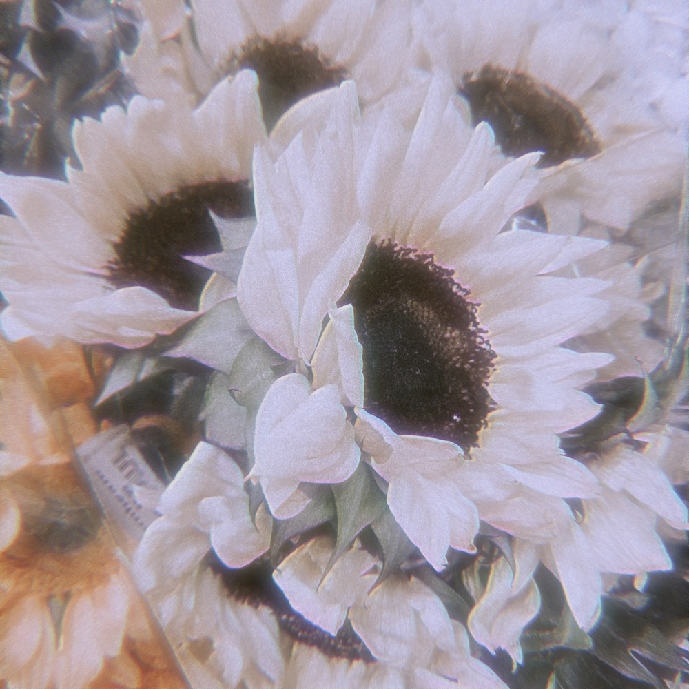 Meet your Posher, Nina